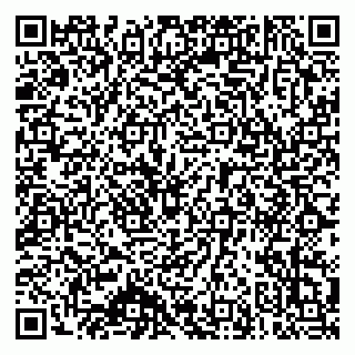vCard 79140830333