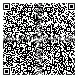 vCard 79140830371