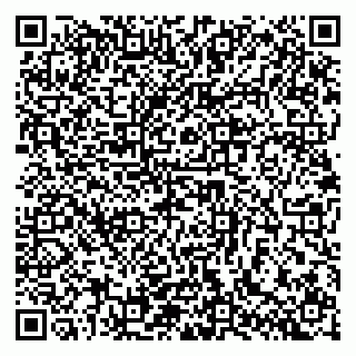 vCard 79140830374