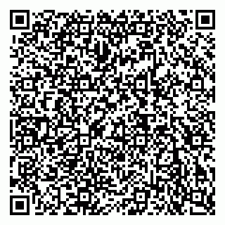 vCard 79140830379