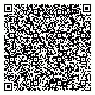 vCard 79140830381