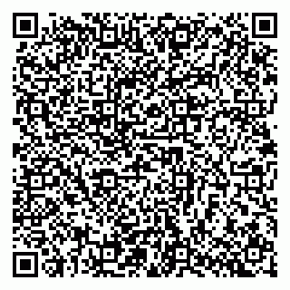 vCard 79140830387