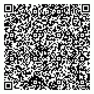vCard 79140830389