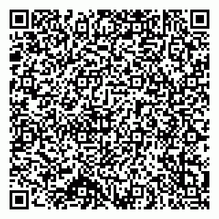 vCard 79140830394