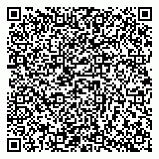 vCard 79140830399