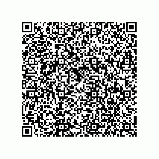 vCard 79141000201