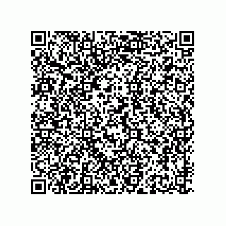 vCard 79141000256