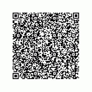 vCard 79141000522