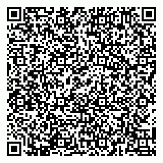 vCard 79141487200