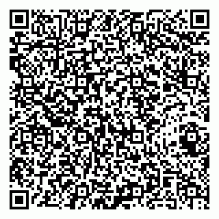 vCard 79141487201