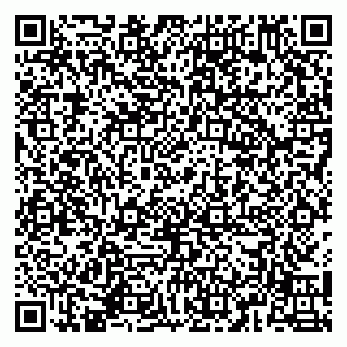 vCard 79141487202