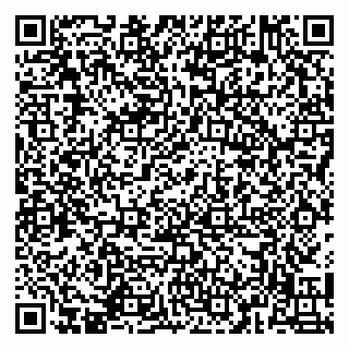 vCard 79141487203