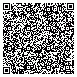 vCard 79141487204