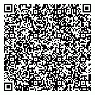 vCard 79141487205