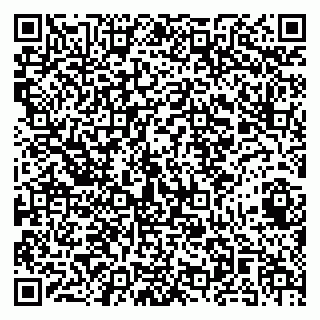 vCard 79141487207
