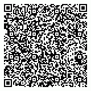 vCard 79141487209