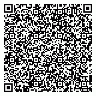 vCard 79141487210