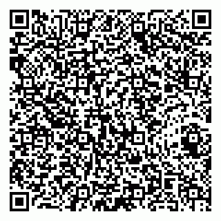 vCard 79141487211