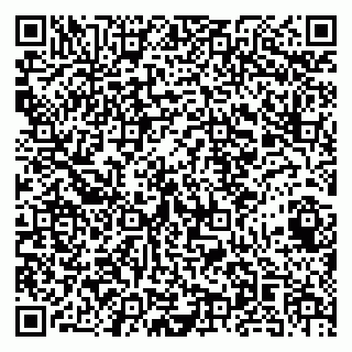 vCard 79141487213
