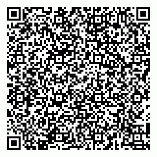 vCard 79141487214