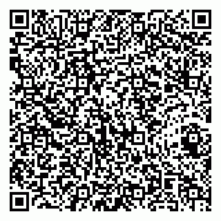 vCard 79141487215