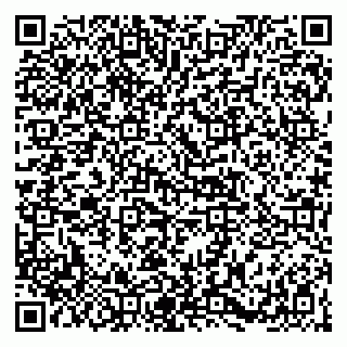 vCard 79141487216