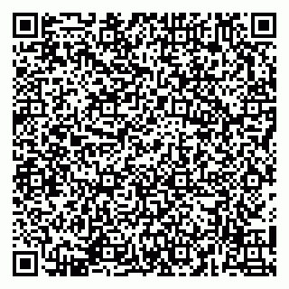 vCard 79141487217