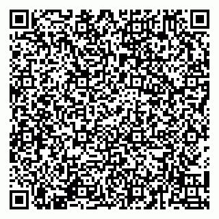 vCard 79141487222
