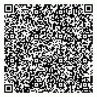 vCard 79141487227