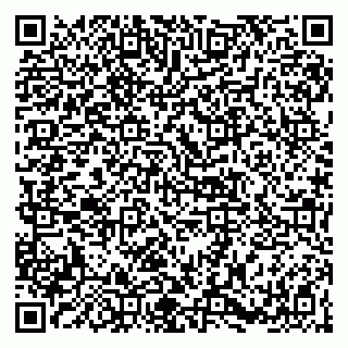 vCard 79141487228