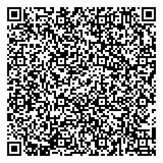 vCard 79141487230