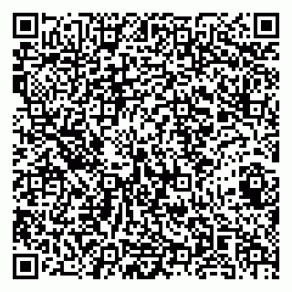 vCard 79141487231