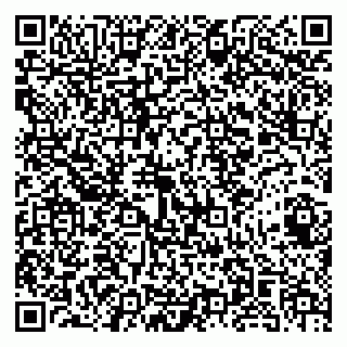 vCard 79141487233