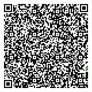 vCard 79141487234