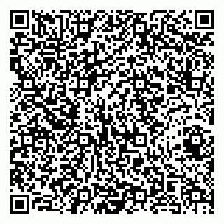 vCard 79141487237