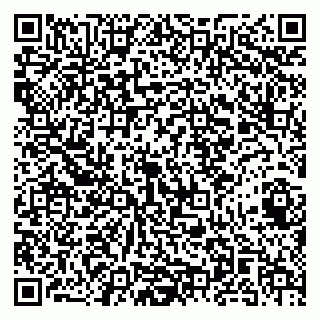 vCard 79141487240