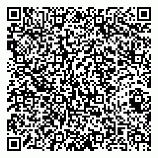 vCard 79141487243