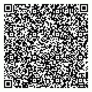 vCard 79141487249