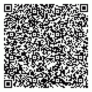 vCard 79141487251