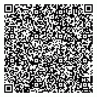vCard 79141487252
