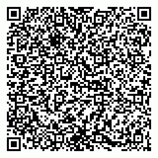 vCard 79141487253