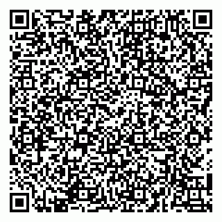 vCard 79141487254