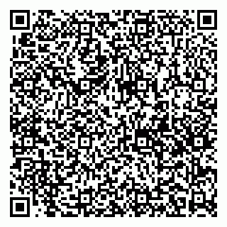 vCard 79141487257