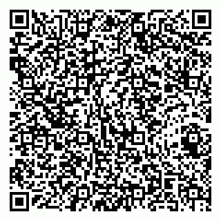 vCard 79141487259