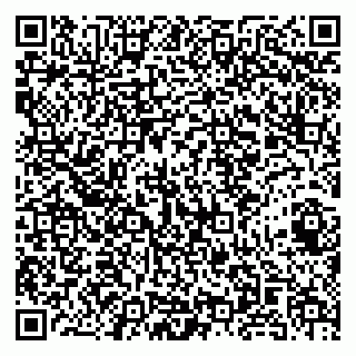 vCard 79141487266