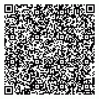 vCard 79141487267