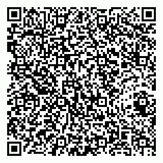 vCard 79141487271