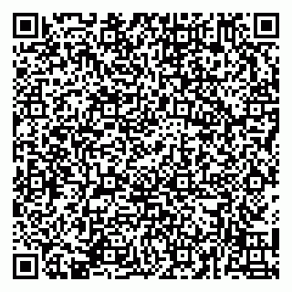 vCard 79141487272