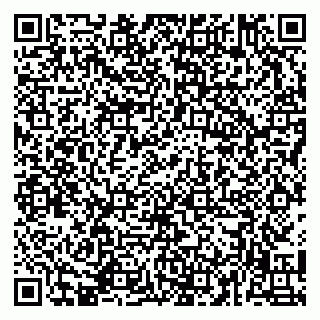 vCard 79141487273