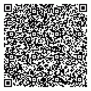 vCard 79141487274